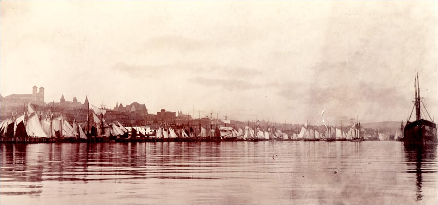 St. John's Harbour, 1905