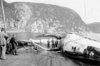 Thumbnail version of image