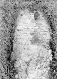 Thumbnail version of image