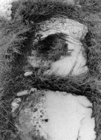 Thumbnail version of image