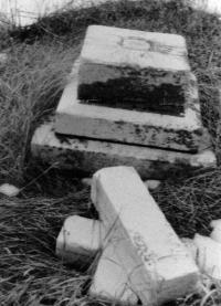 Thumbnail version of image