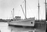 Thumbnail version of image