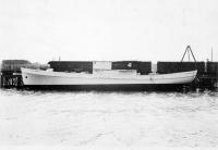 Thumbnail version of image