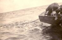 Thumbnail version of image