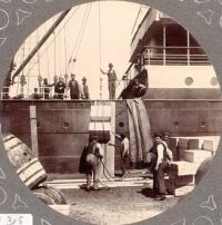 Thumbnail version of image