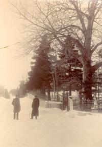 Thumbnail version of image