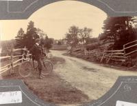 Thumbnail version of image