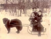 Thumbnail version of image