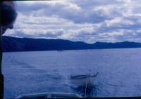 Thumbnail version of image