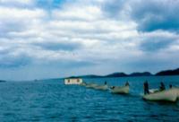 Thumbnail version of image