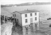 Thumbnail version of image