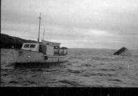 Thumbnail version of image