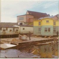 Thumbnail version of image