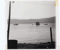 Thumbnail version of image