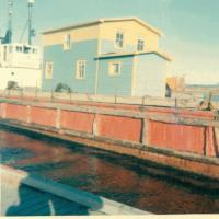 Thumbnail version of image