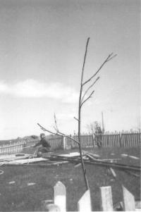 Thumbnail version of image