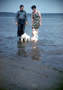 Thumbnail version of image