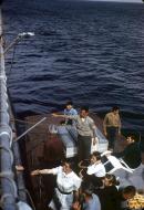 Thumbnail version of image
