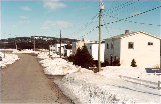 Buffett Rd., Arnold's Cove, showing houses floated in from other communities