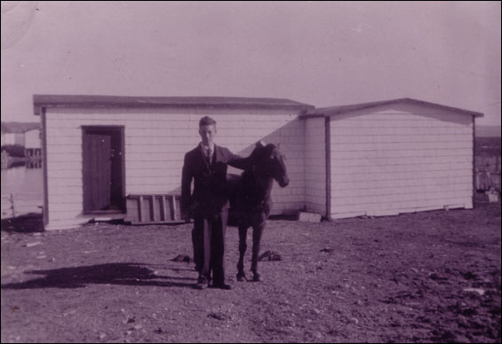 Regina, Colinet Island, (pictured) Gus Dalton and horse Dandy