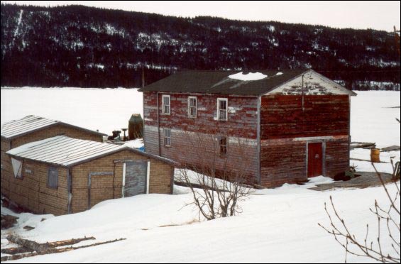 Llewellyn Randell's stage and store, Bide Arm [Buildings were floated from Hooping Harbour to Bide Arm in 1969.] 