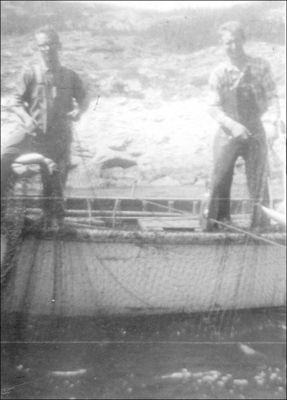 Hauling a cod trap at Hooping Harbour