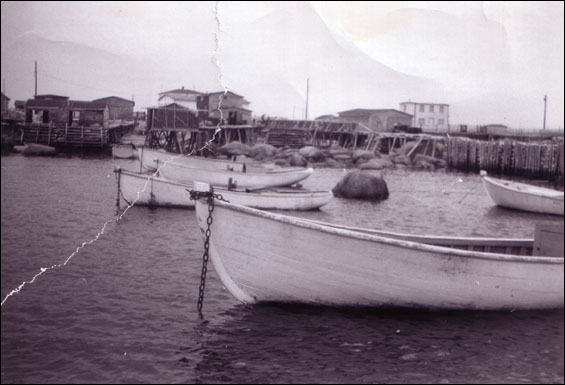 Boats tied up at Lumsden North