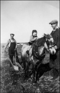 Fabian Power with son Raymond and horse 'Uncle Peter', Regina, Colinet Islands