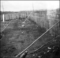 Clotheslines in Sops Island